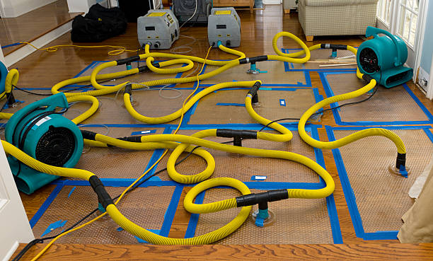 Professional Basement Flood Cleanup technician working in Morgan, UT